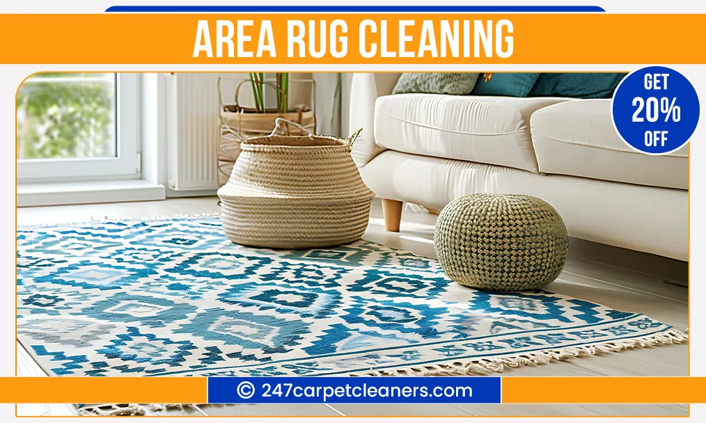 carpet cleaning in nassau, carpet cleaning nassau, carpet cleaners in nassau, carpet cleaners in nassau, commercial carpet cleaning, commercial carpet cleaning in nassau, nassau rug cleaners, rug cleaning services in nassau, same day carpet cleaning, same day rug cleaning in nassau