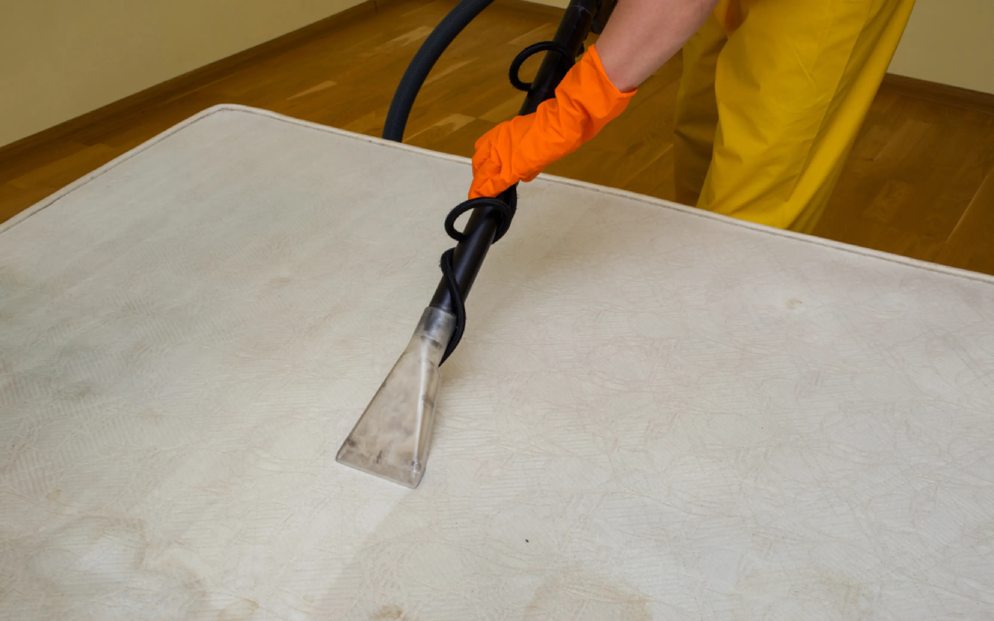 carpet cleaners in Nassau, carpet cleaning in Nassau, carpet cleaning nassau, carpet cleaners in nassau,  commercial carpet cleaning, commercial carpet cleaning in nassau,carpet cleaning in nassau,  nassau rug cleaners, rug cleaning services in nassau, same day carpet cleaning, same day rug cleaning