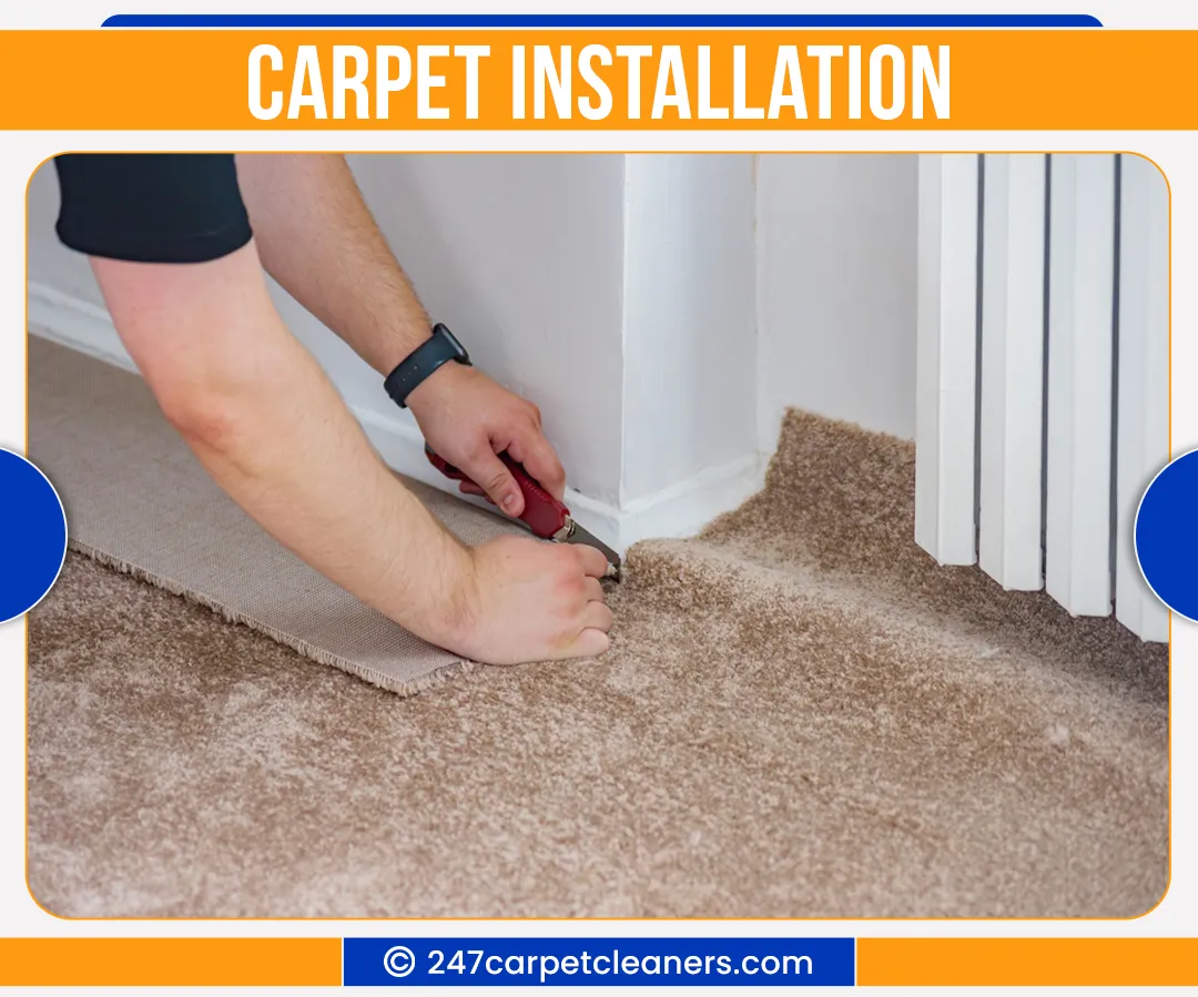 carpet cleaners in Nassau, carpet cleaning in Nassau, carpet cleaning nassau, carpet cleaners in nassau,  commercial carpet cleaning, commercial carpet cleaning in nassau,carpet cleaning in nassau,  nassau rug cleaners, rug cleaning services in nassau, same day carpet cleaning, same day rug cleaning